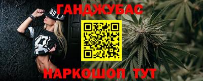 Альфа ПВП Гатчина
