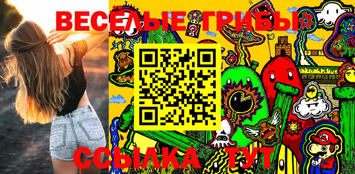 Псилоцибиновые грибы GOLDEN TEACHER Бутурлиновка
