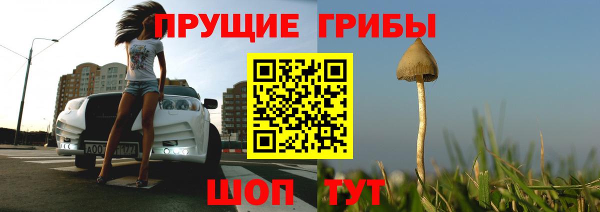 Галлюциногенные грибы Magic Shrooms  Вход с VPN  Галлюциногенные грибы MAGIC MUSHROOMS  Бутурлиновка 
